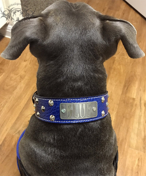 WN1 - 2" Wide Personalized Leather Dog Collar with Studs