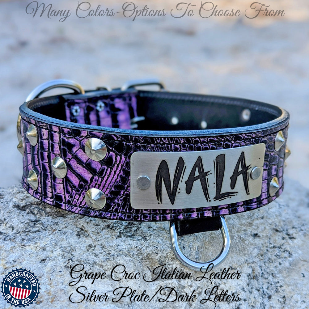 Leather Dog Collar Personalized Name Plate Cone Studded Collar 2 WN1 Pit Bull Gear