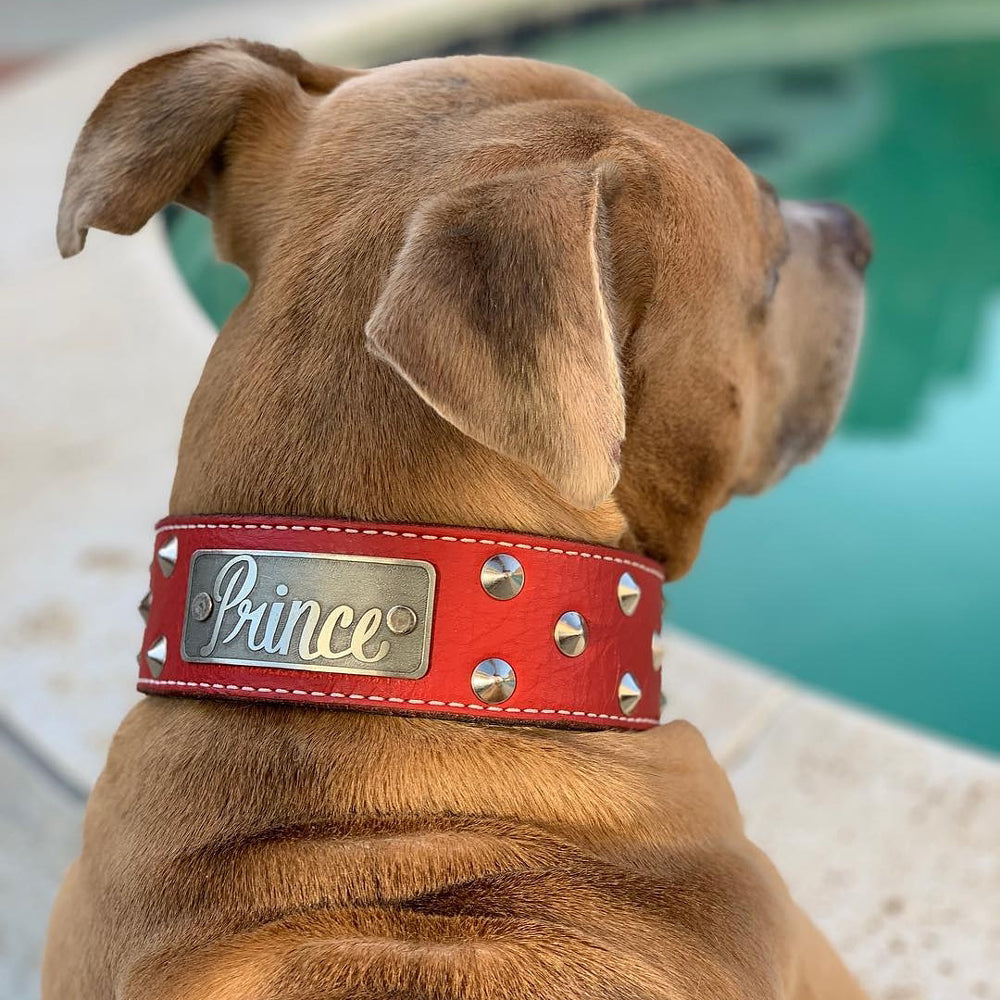 WN1 - 2" Wide Personalized Leather Dog Collar with Studs