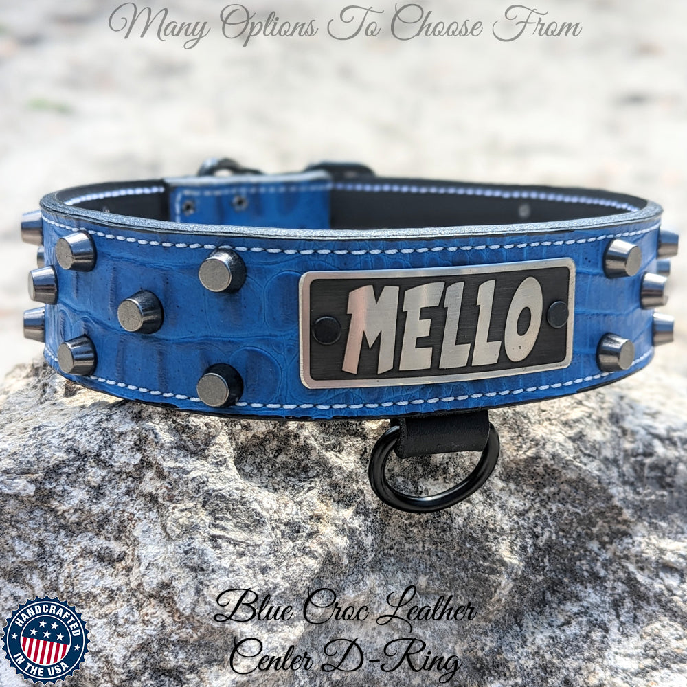 WN4 - 2" Wide Personalized Leather Dog Collar with Bucket Studs