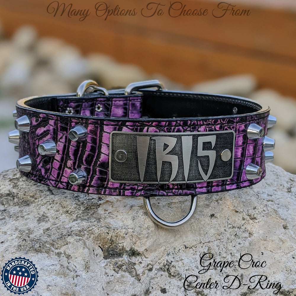 WN4 - 2" Wide Personalized Leather Dog Collar with Bucket Studs