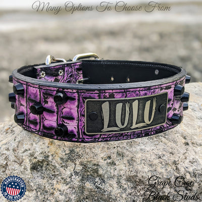 Leather Dog Collar Personalized Name Plate Studded 2" Wide - WN4