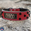 WN4 - 2" Wide Leather Dog Collar with Bucket Studs and Name Plate