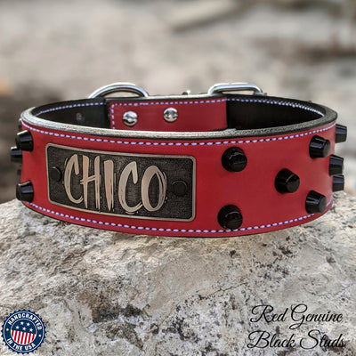 Leather Dog Collar Personalized Name Plate Studded 2" Wide - WN4