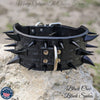 X13 - 3" Multi Spiked Leather Dog Collar