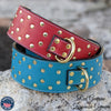 X27 - 3" Wide Leather Dog Collar with Rivets