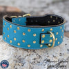 X27 - 3" Wide Leather Dog Collar with Rivets