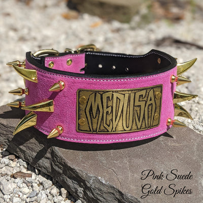 XN18 - 3" Name Plate Spiked Collar