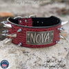 XN18 - 3" Name Plate Spiked Collar