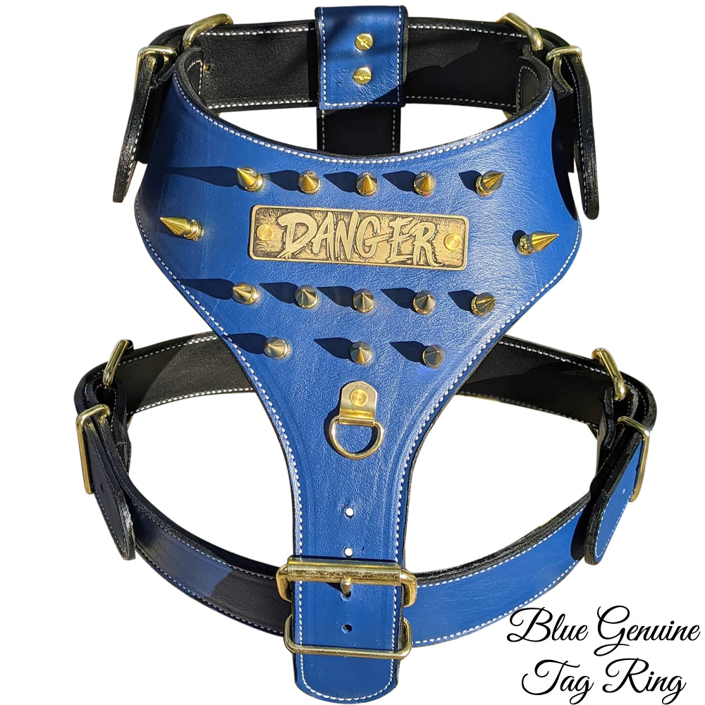 Personalized Claw Spiked Dog Harness