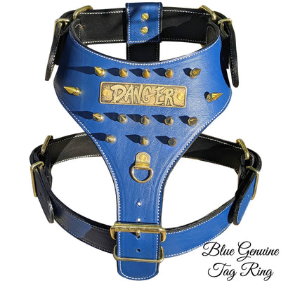 NH5 - Personalized Spiked Leather Dog Harness