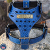 NH5 - Name Plate Spiked Leather Dog Harness