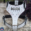Custom Leather Dog Harness Personalized Name Plate Gems & Spikes - NH6