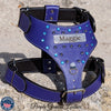 NH6 - Personalized Leather Dog Harness w/Gems & Spikes