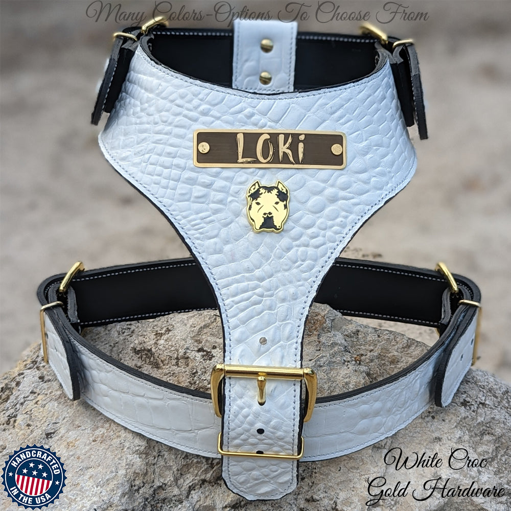 NH12 - Arnês de Couro Bully Personalizado