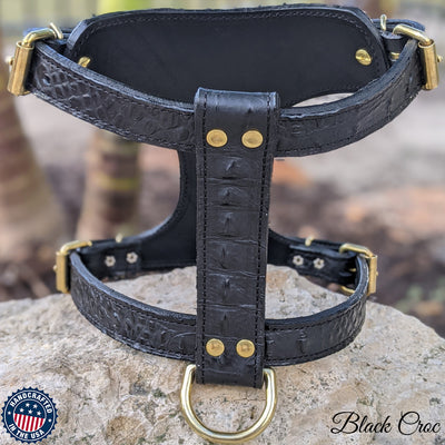 French Bulldog Leather Harness