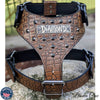 NH10 - Name Plate Cone Studded Leather Harness