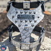 NH10 - Name Plate Cone Studded Leather Harness