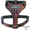 NH10 - Name Plate Cone Studded Leather Harness
