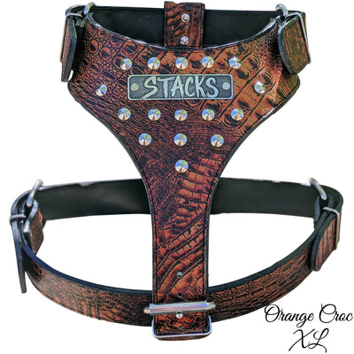 NH10 - Name Plate Cone Studded Leather Harness