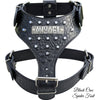 NH11 - Personalized Leather Dog Harness w/ Bucket Studs
