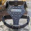 Leather Dog Harness Personalized Name Plate with Bucket Studs - NH11