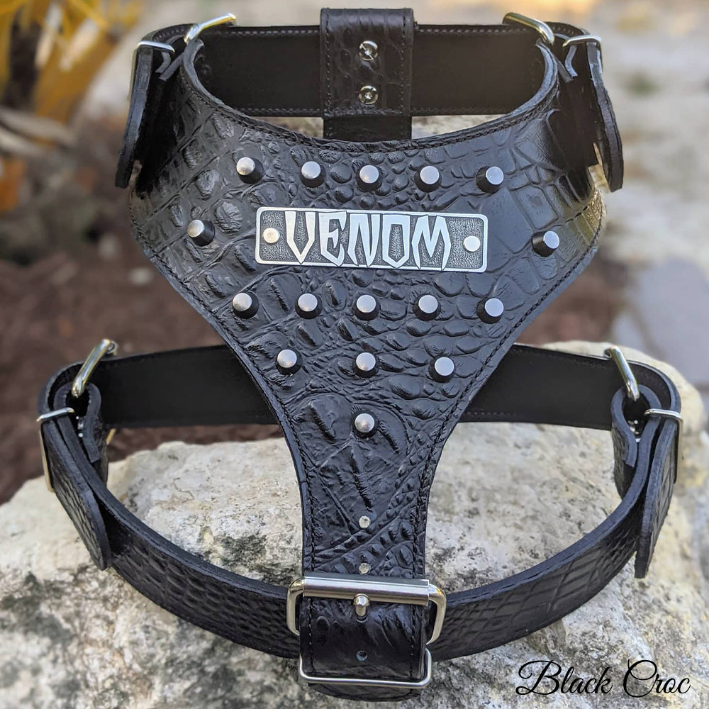 NH11 - Leather Dog Harness Personalized Name Plate and Bucket Studs
