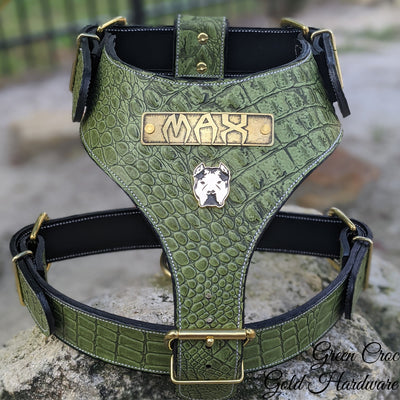 NH12 - Personalized Bully Leather Harness