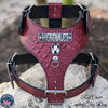 NH12 - Personalized Bully Leather Harness