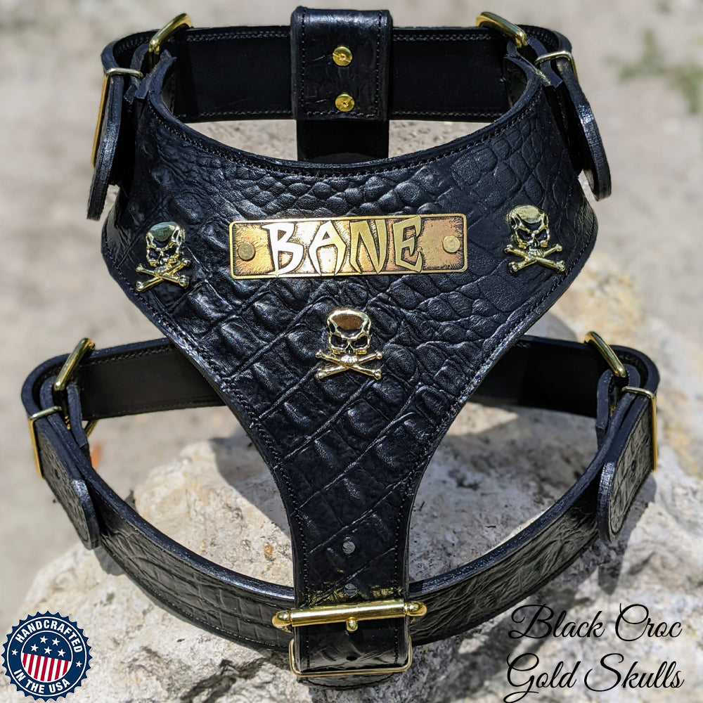 NH16 - Personalized Leather Dog Harness with Skull & Crossbones