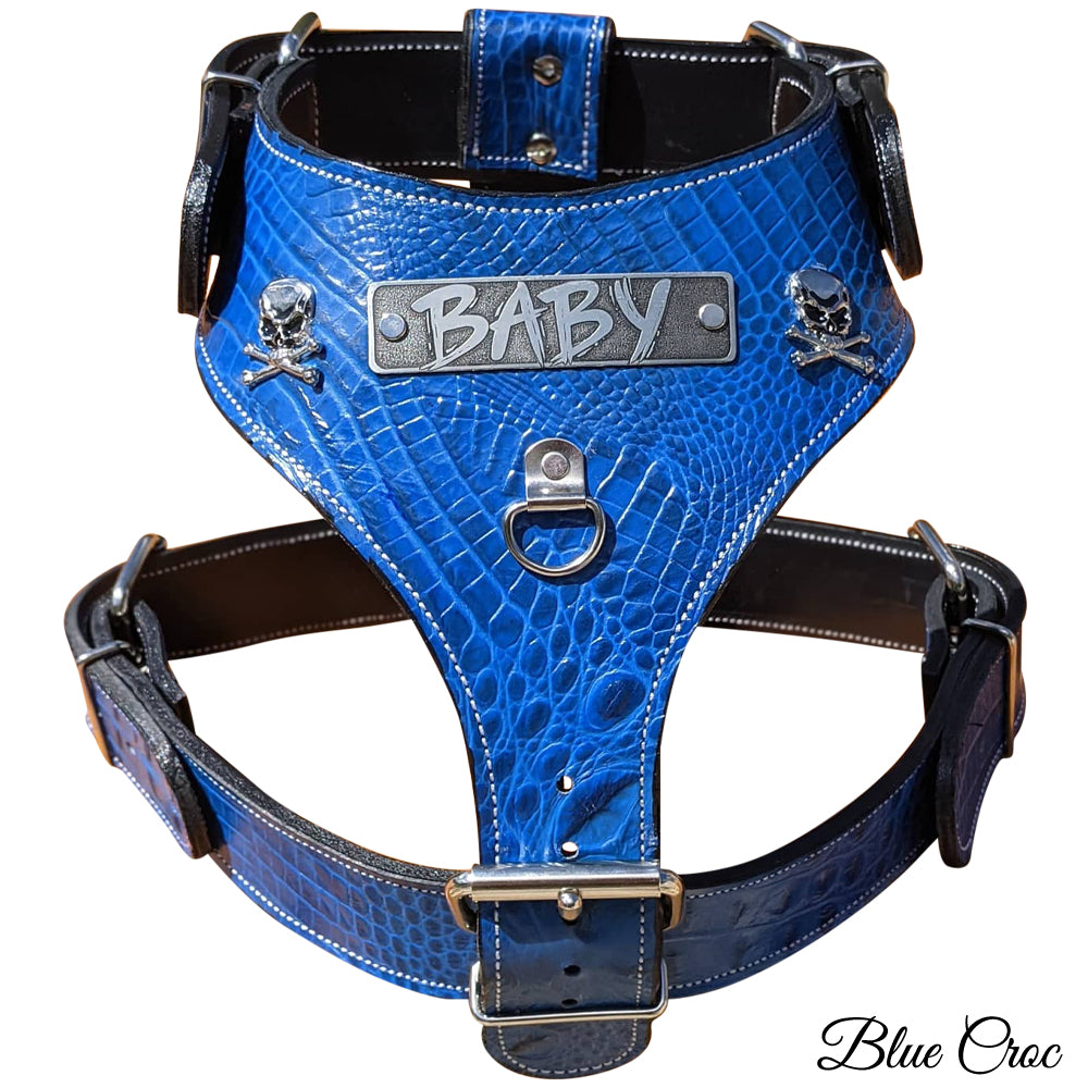 NH16 - Personalized Leather Dog Harness with Skull & Crossbones