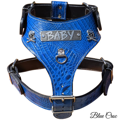 Personalized Leather Dog Harness with Skull & Crossbones Custom - NH16