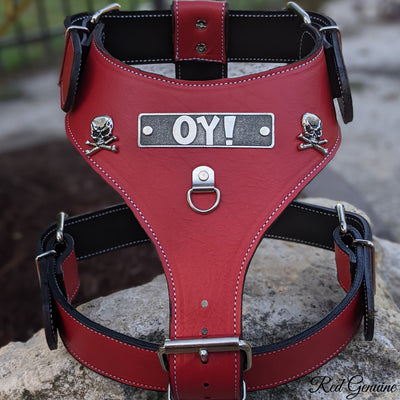 NH16 - Personalized Leather Dog Harness with Skulls
