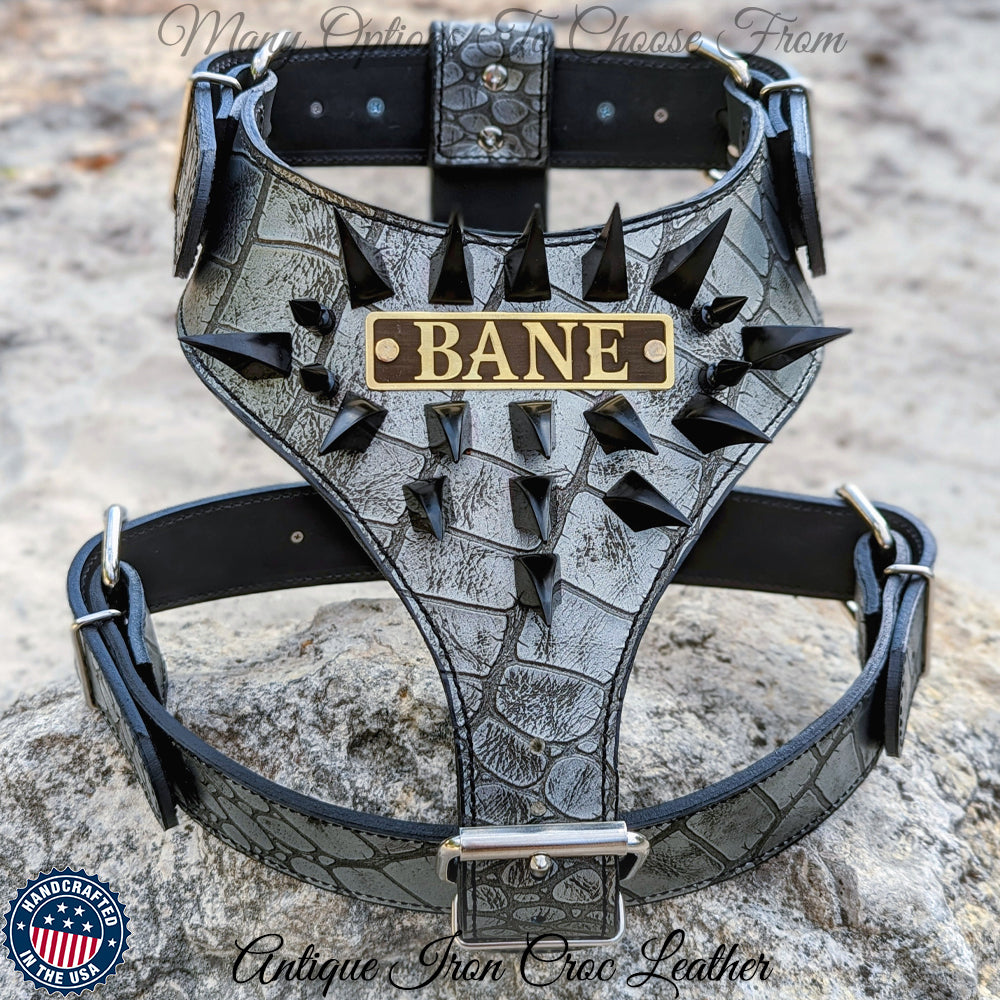 NH17 - Spiked Leather Dog Harness Personalized Name Plate