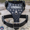 NH3 - Personalized Studded Leather Harness