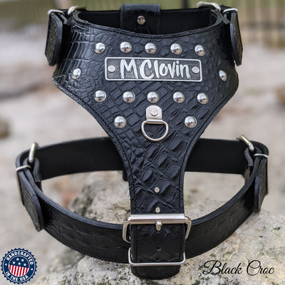 American Pit Bull Terrier 【Custom】 Leather Dog Harness with studds :  Pitbull Breed: Dog Harnesses, Collars, Leashes, Muzzles, Breed Information  and Pictures