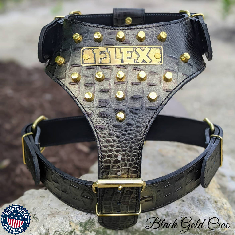 NH11 - Leather Dog Harness Personalized Name Plate and Bucket Studs