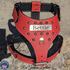 NH3 - Personalized Studded Leather Harness