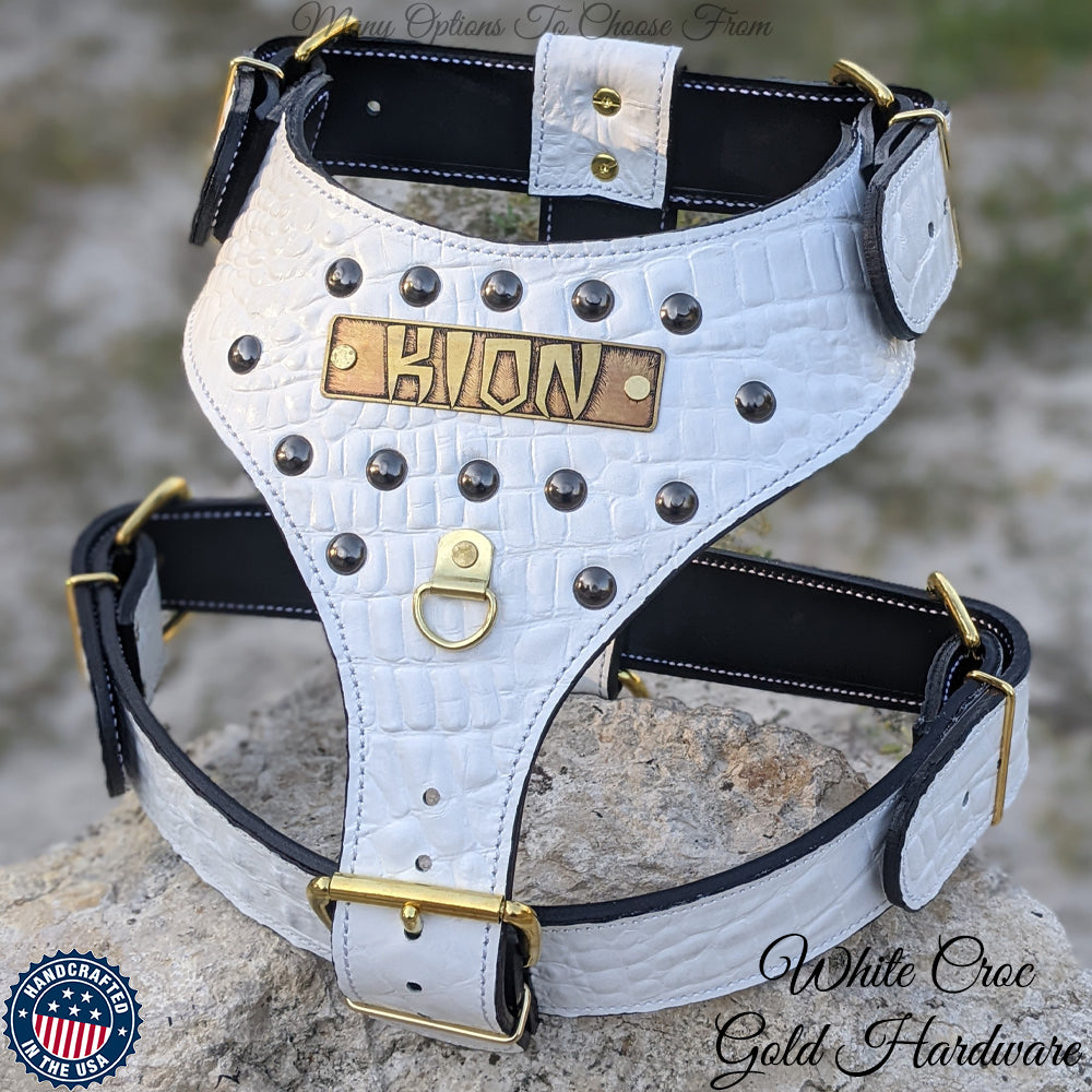 Personalized Studded Leather Dog Harness Pit Bull Gear
