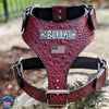 Leather Dog Harness Personalized Name Plate Heavy Duty USA - NH76