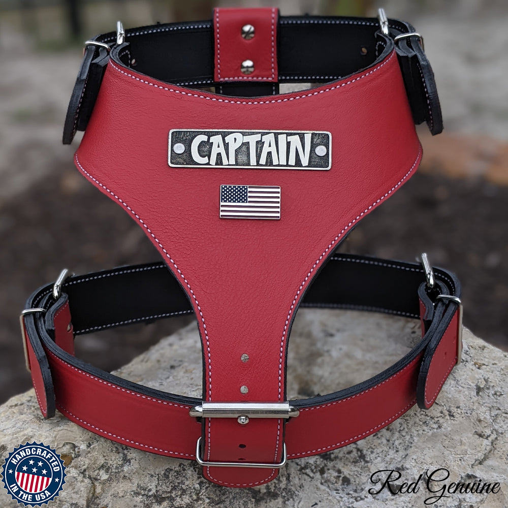 Leather Dog Harness Personalized Name Plate Heavy Duty USA - NH76