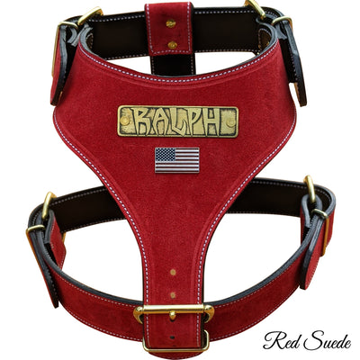 Leather Dog Harness Personalized Name Plate Heavy Duty USA - NH76