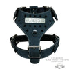 NH8 - Name Plate Cone Spiked Leather Harness