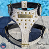 NH3 - Personalized Studded Leather Harness