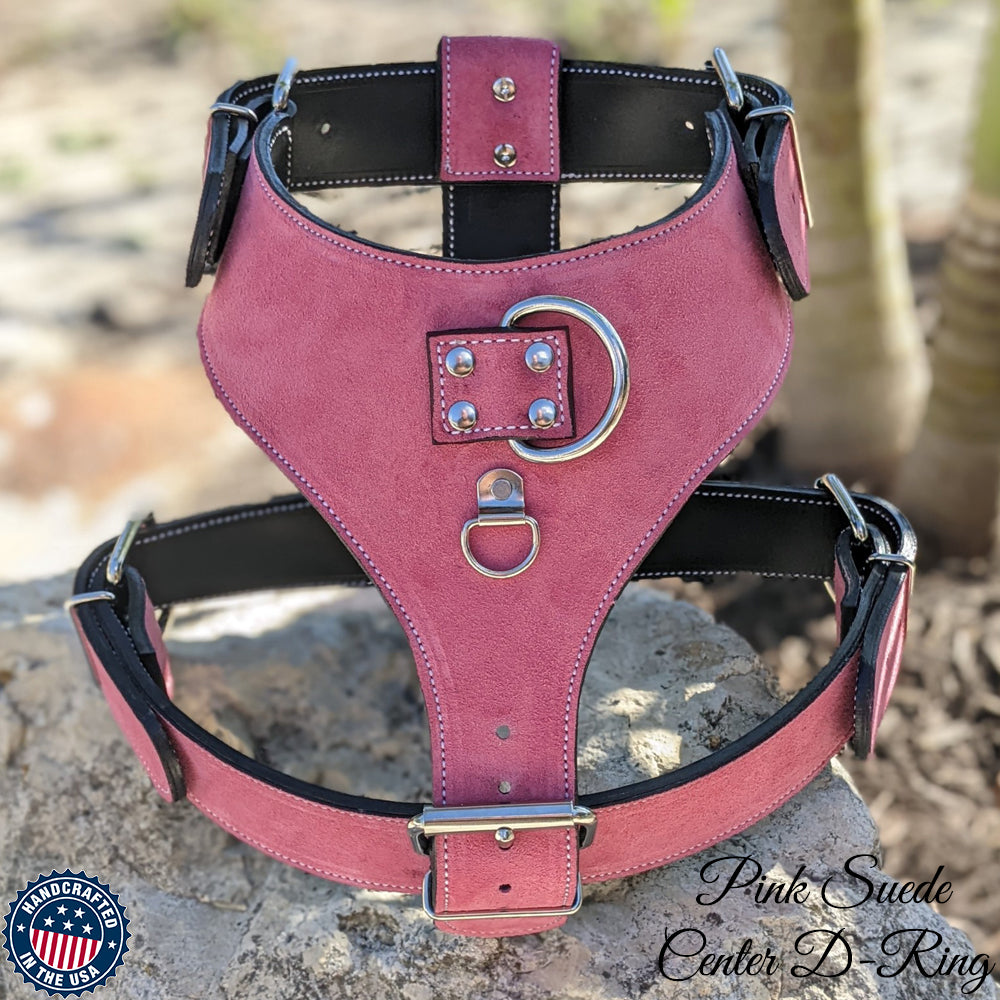 Louis Pup Leather Harness and Leash Set