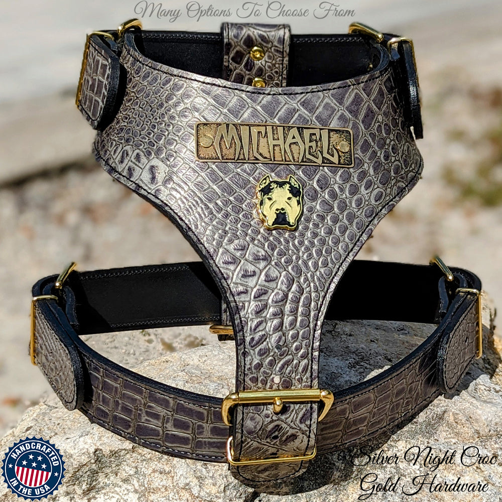 NH12 - Personalized Bully Leather Harness