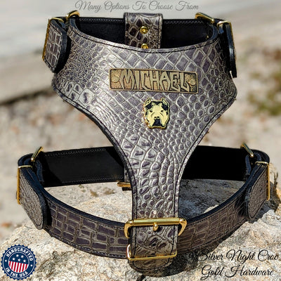 NH12 - Personalized Bully Leather Harness