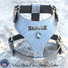NH12 - Personalized Bully Leather Harness