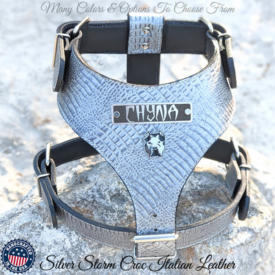 NH12 - Personalized Bully Leather Harness