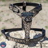 SNH1 - Personalized Sport Cut Leather Dog Harness